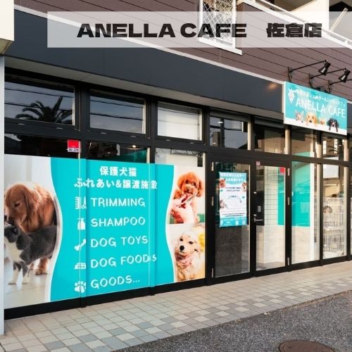 ANELLA CAFE <p>佐倉店</p>