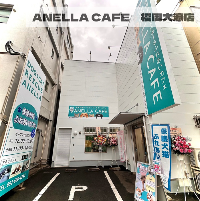ANELLA CAFE <p>福岡大濠店 </p>