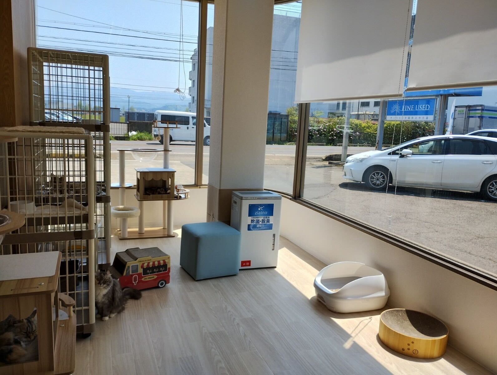 画像2