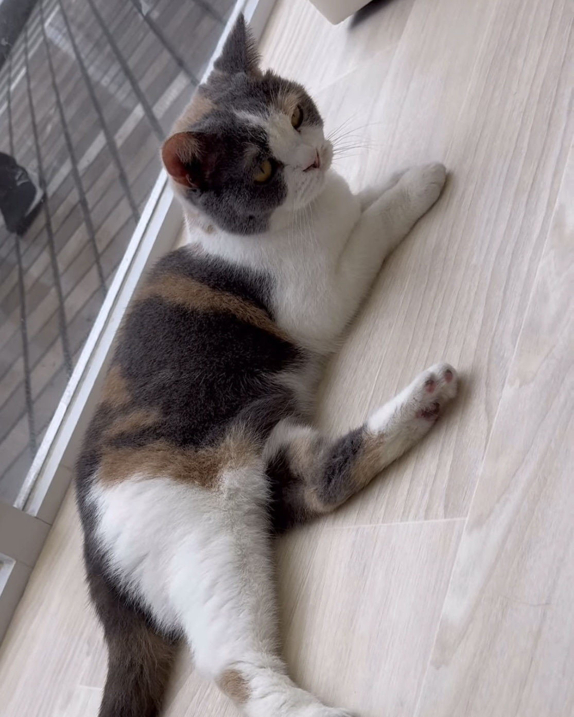 ヘラクレスの画像1