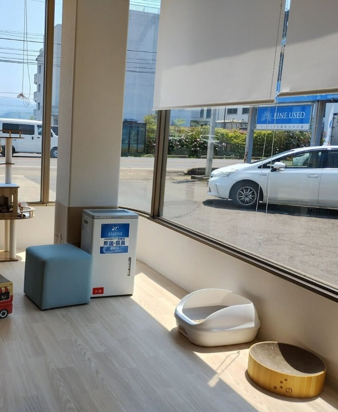 画像4