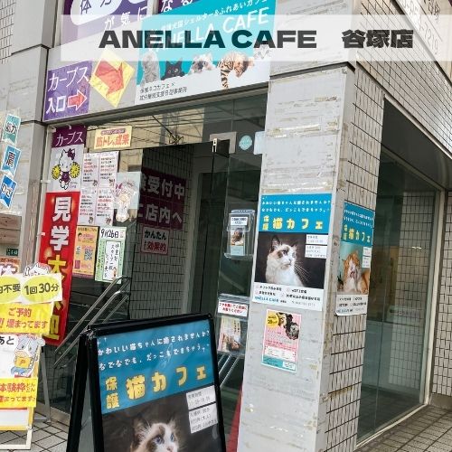ANELLA CAFE<p>谷塚店</p>