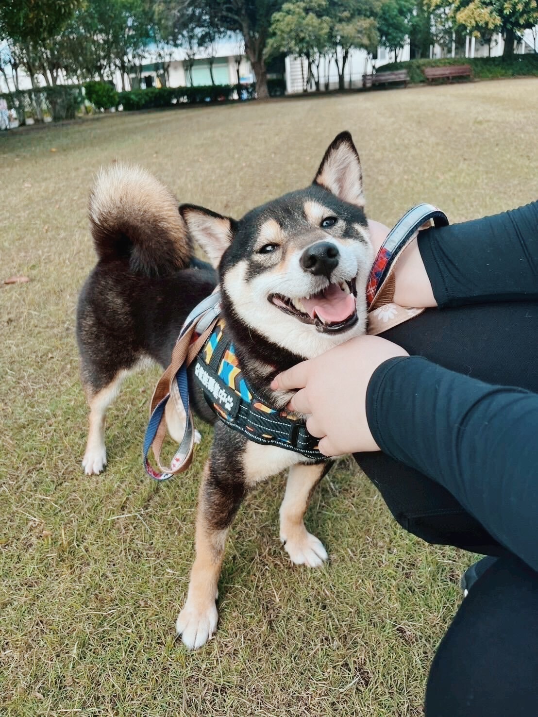 あまびえの画像3