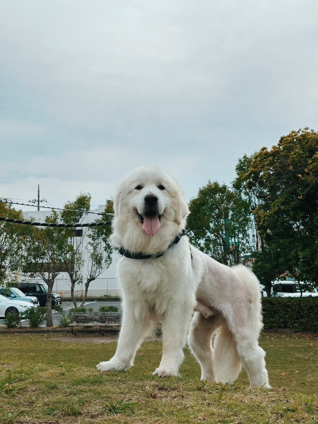 おっとっとの画像4