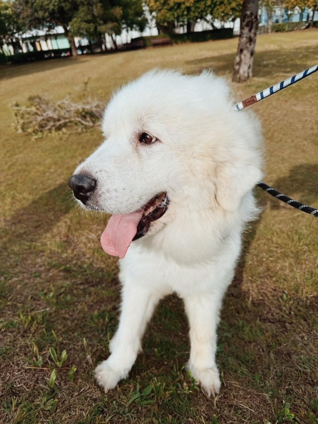おっとっとの画像1