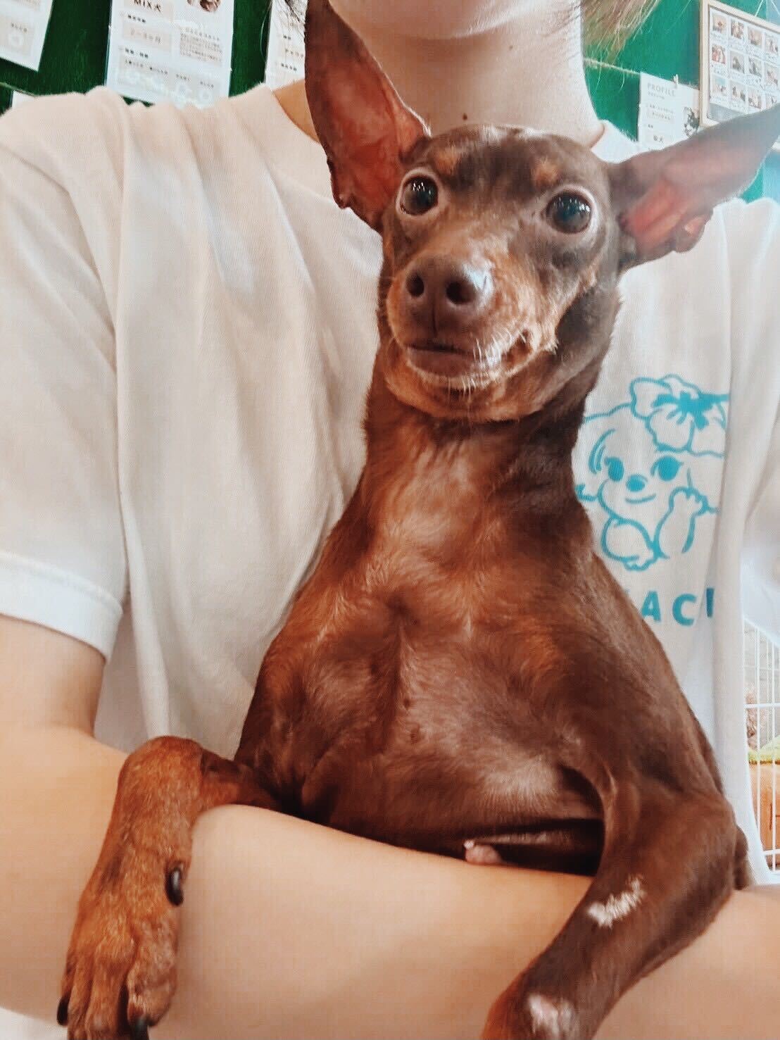 ビリヤニの画像2