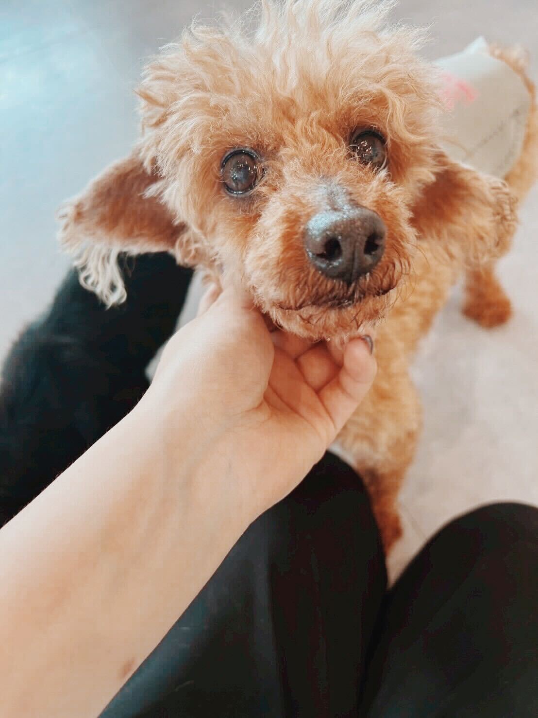 店長の画像3
