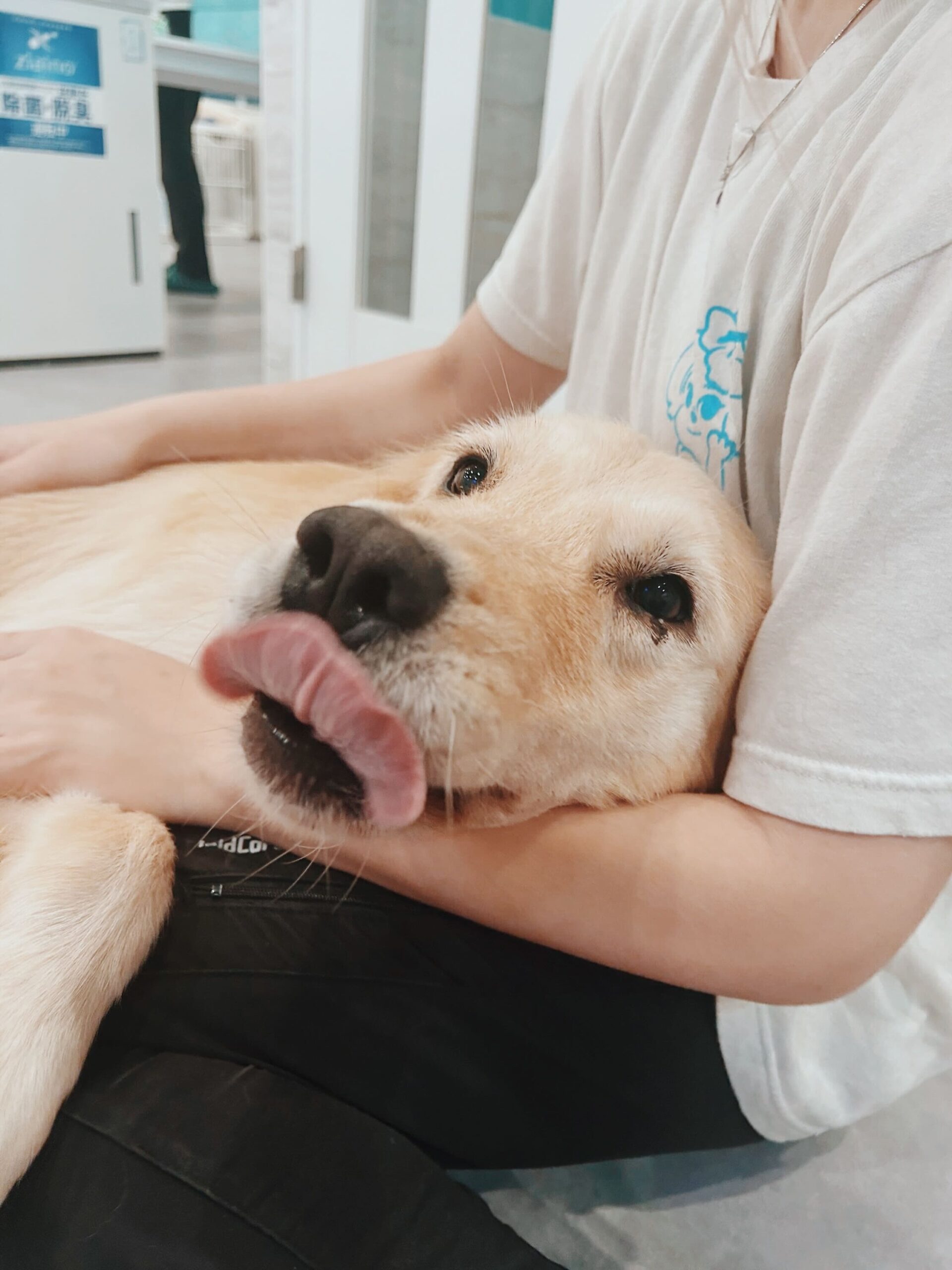 けしごむの画像4
