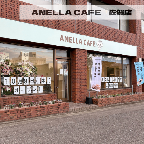 ANELLA CAFE  <p>佐賀店</p>