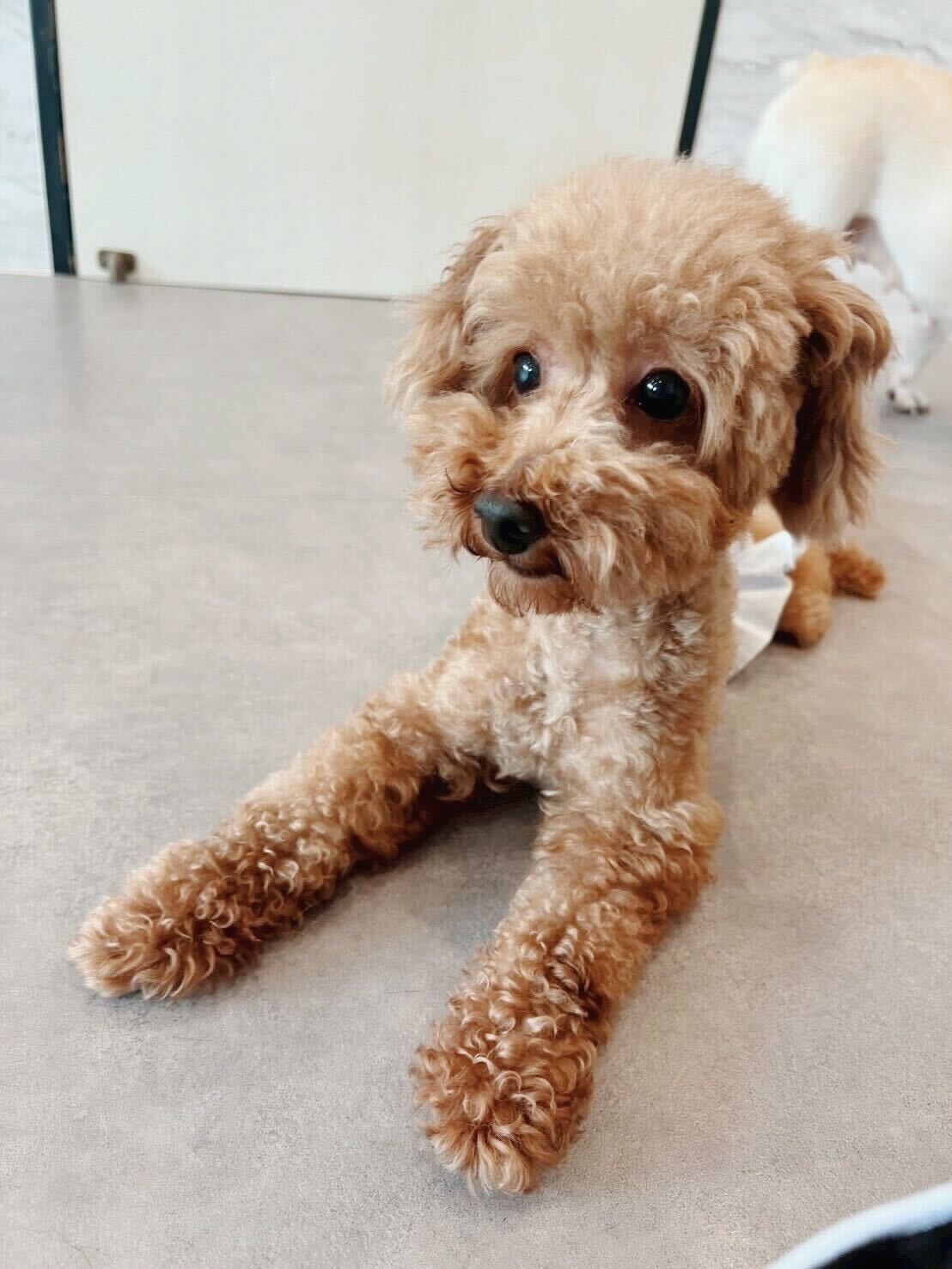 ととのすけの画像2