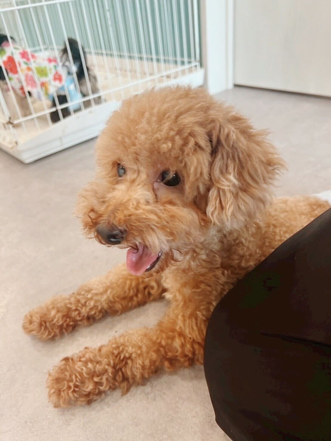 ととのすけの画像3