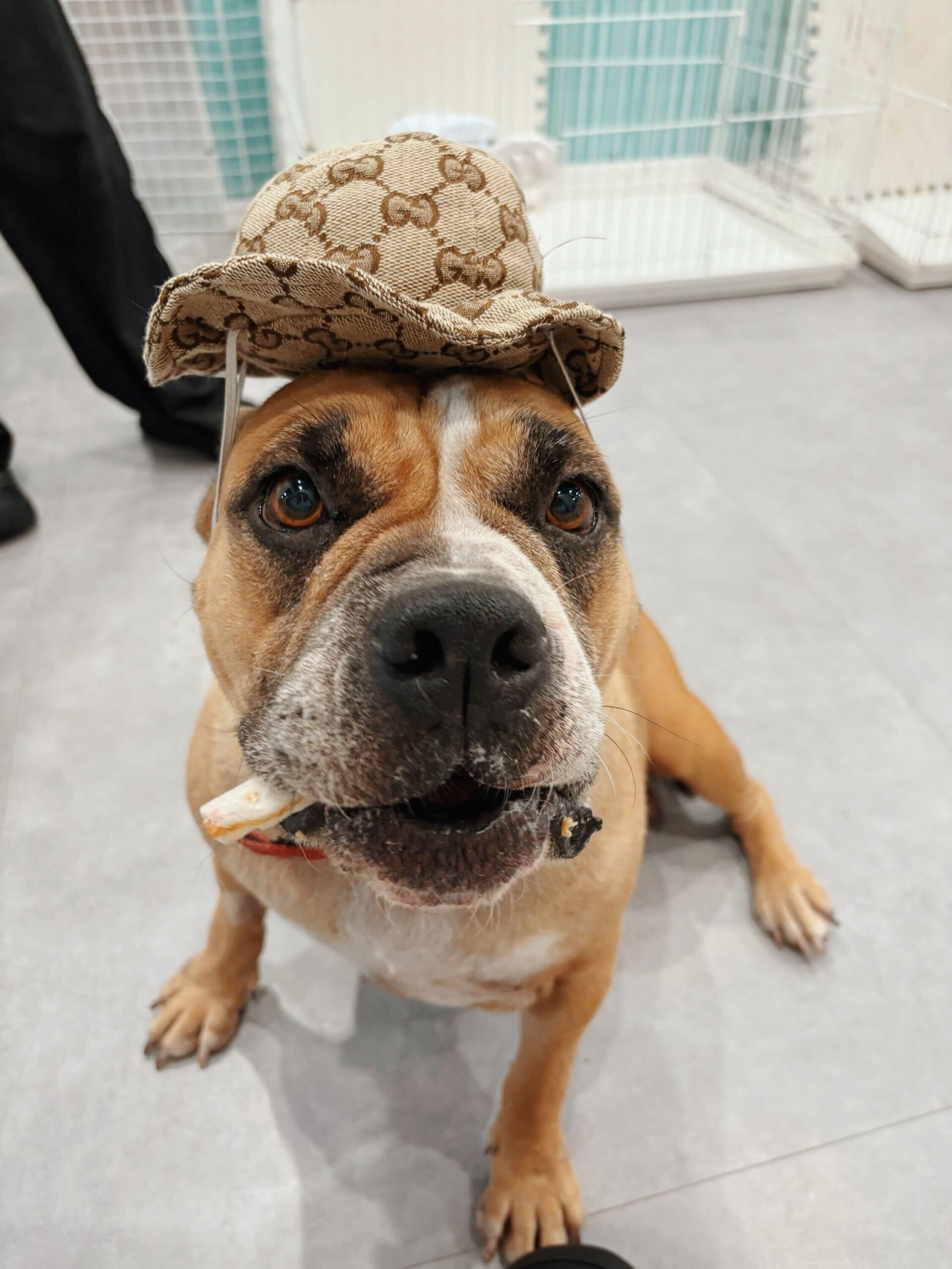 バレンシアガの画像3