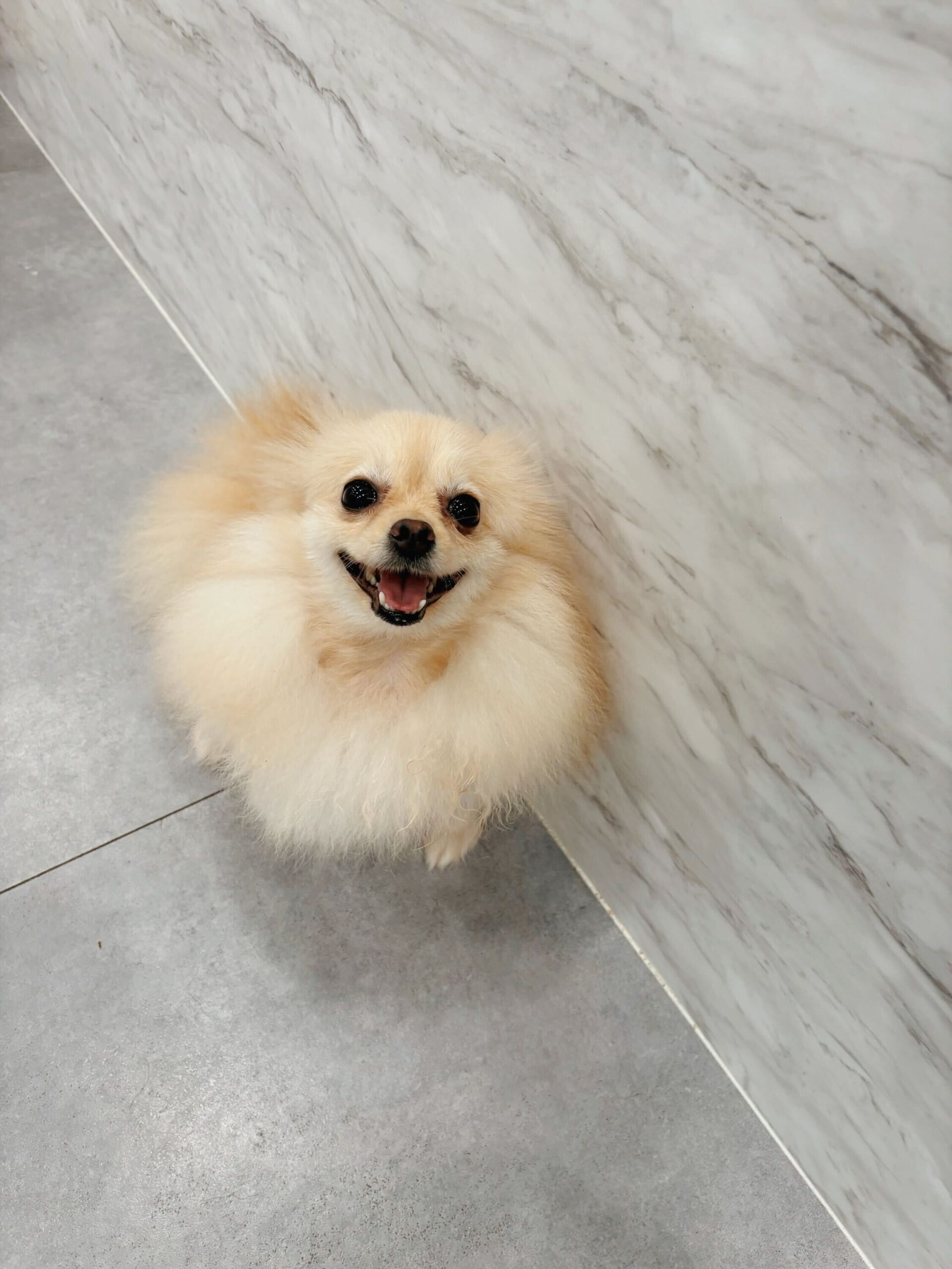 コムドットの画像3