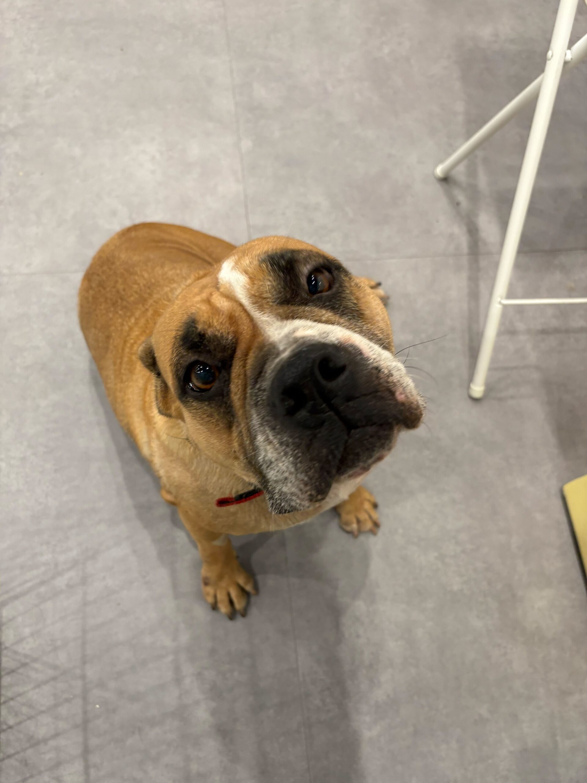 バレンシアガの画像1