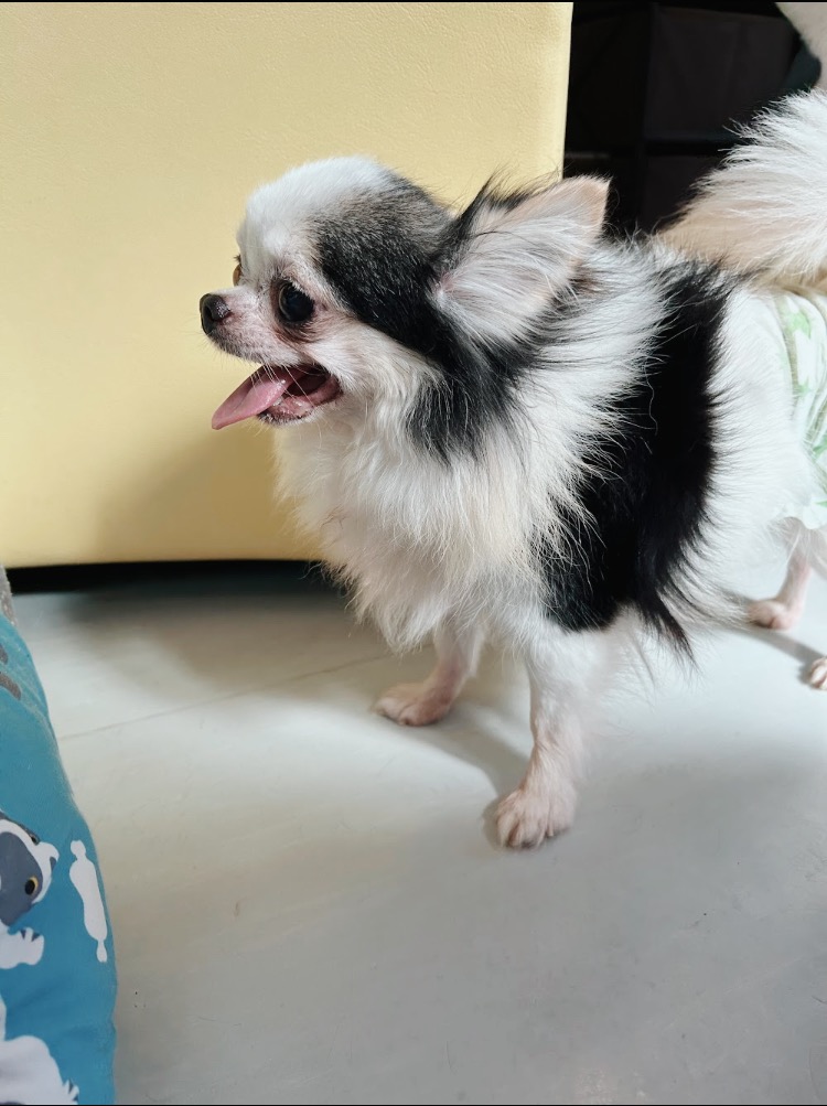 ライトイヤーの画像2