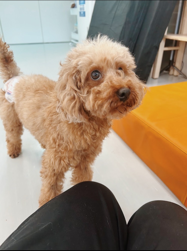 アンディーの画像3