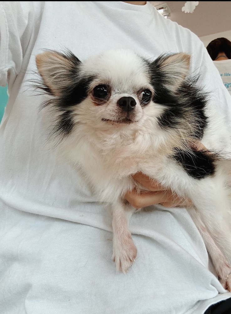 ライトイヤーの画像1