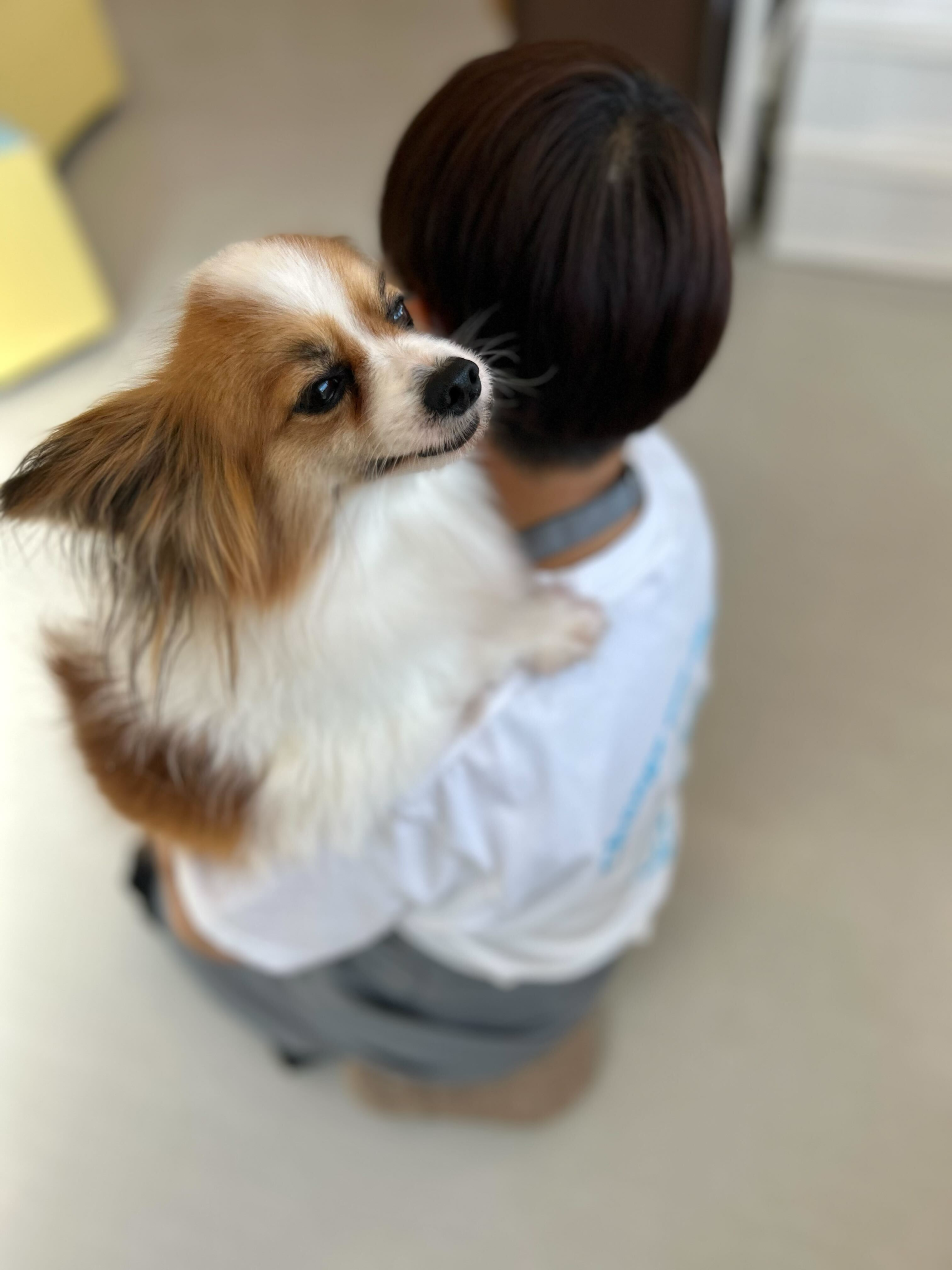 ジョイクロの画像3