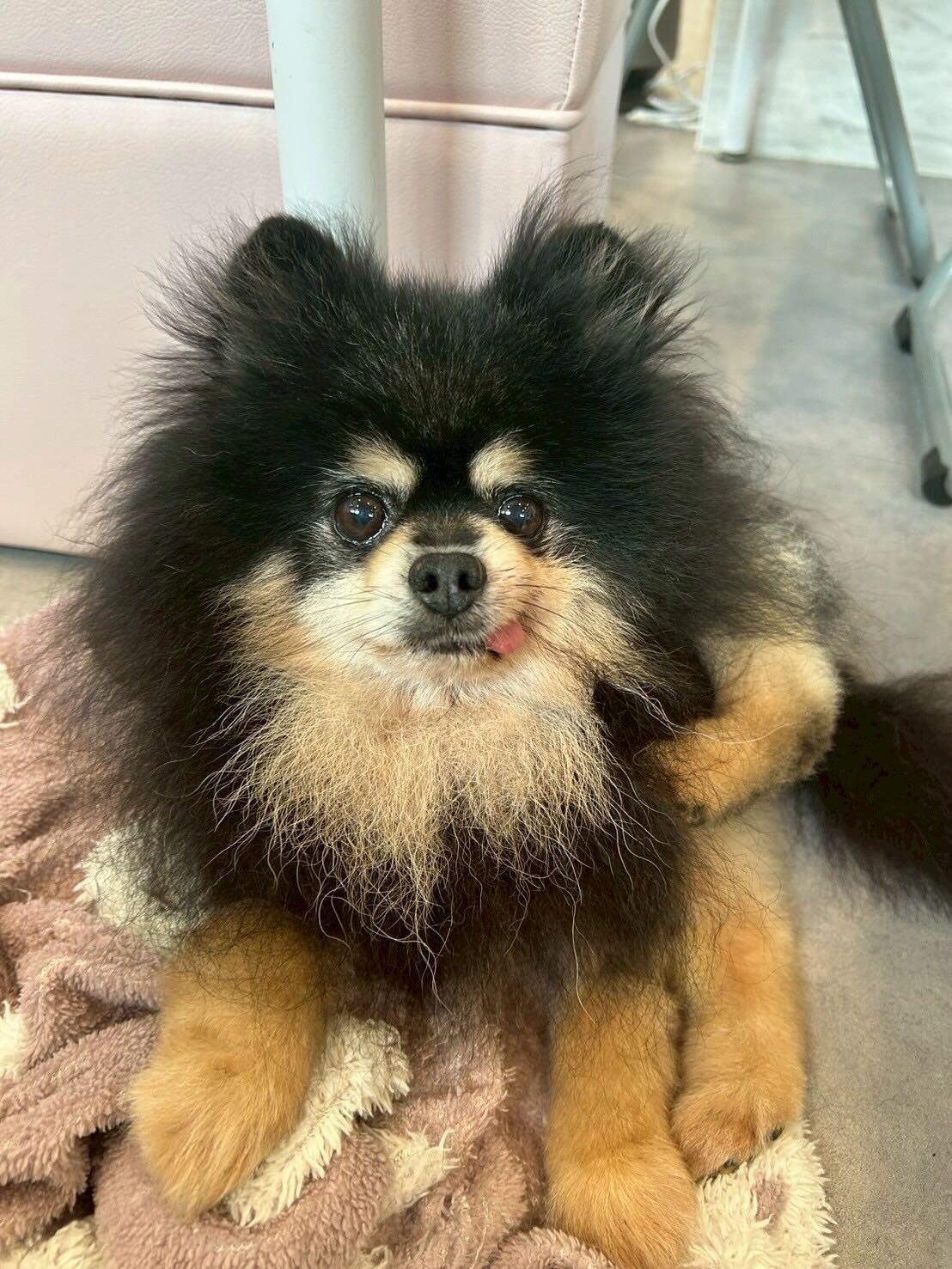 コンパスの画像2