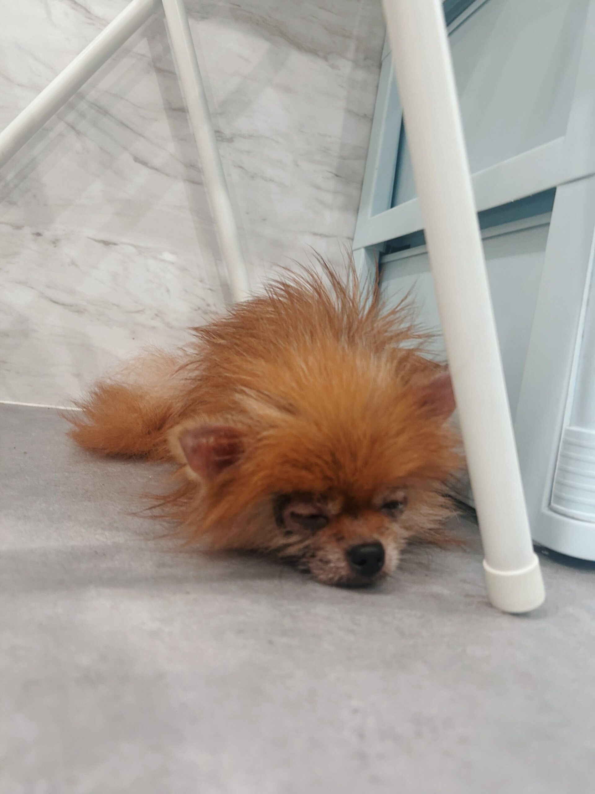 ストラットンの画像2