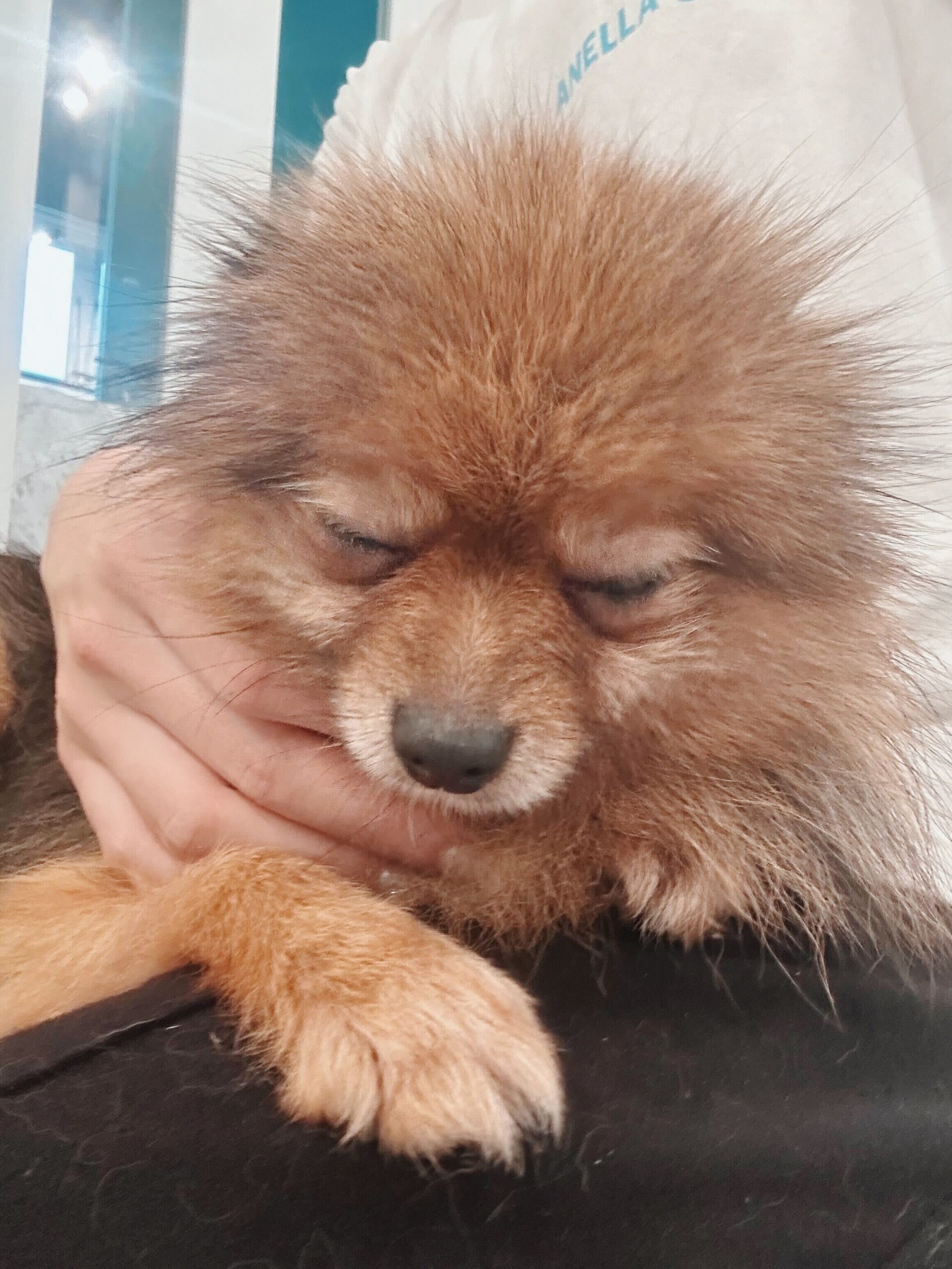 ヤマモトの画像1