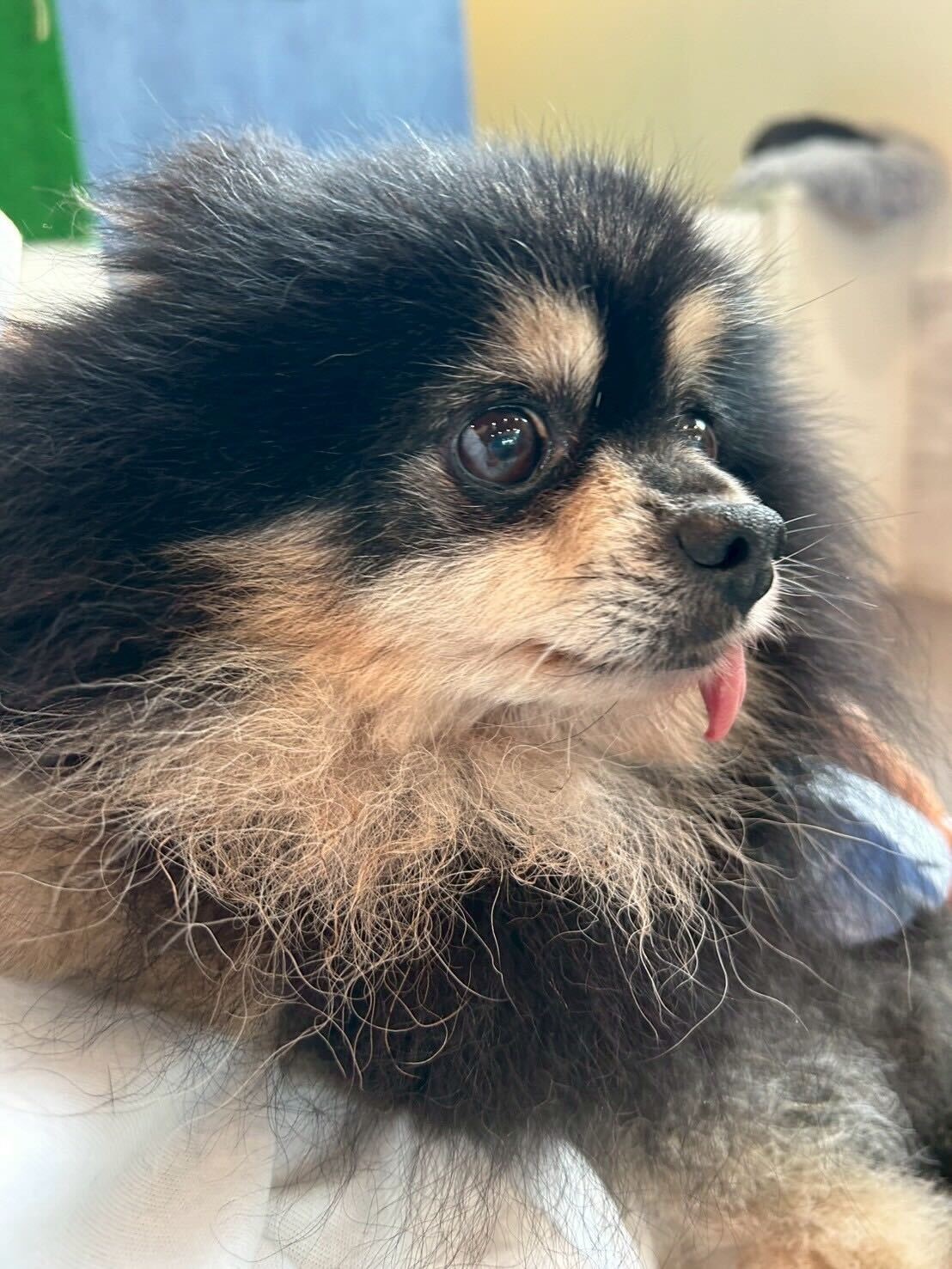 コンパスの画像3