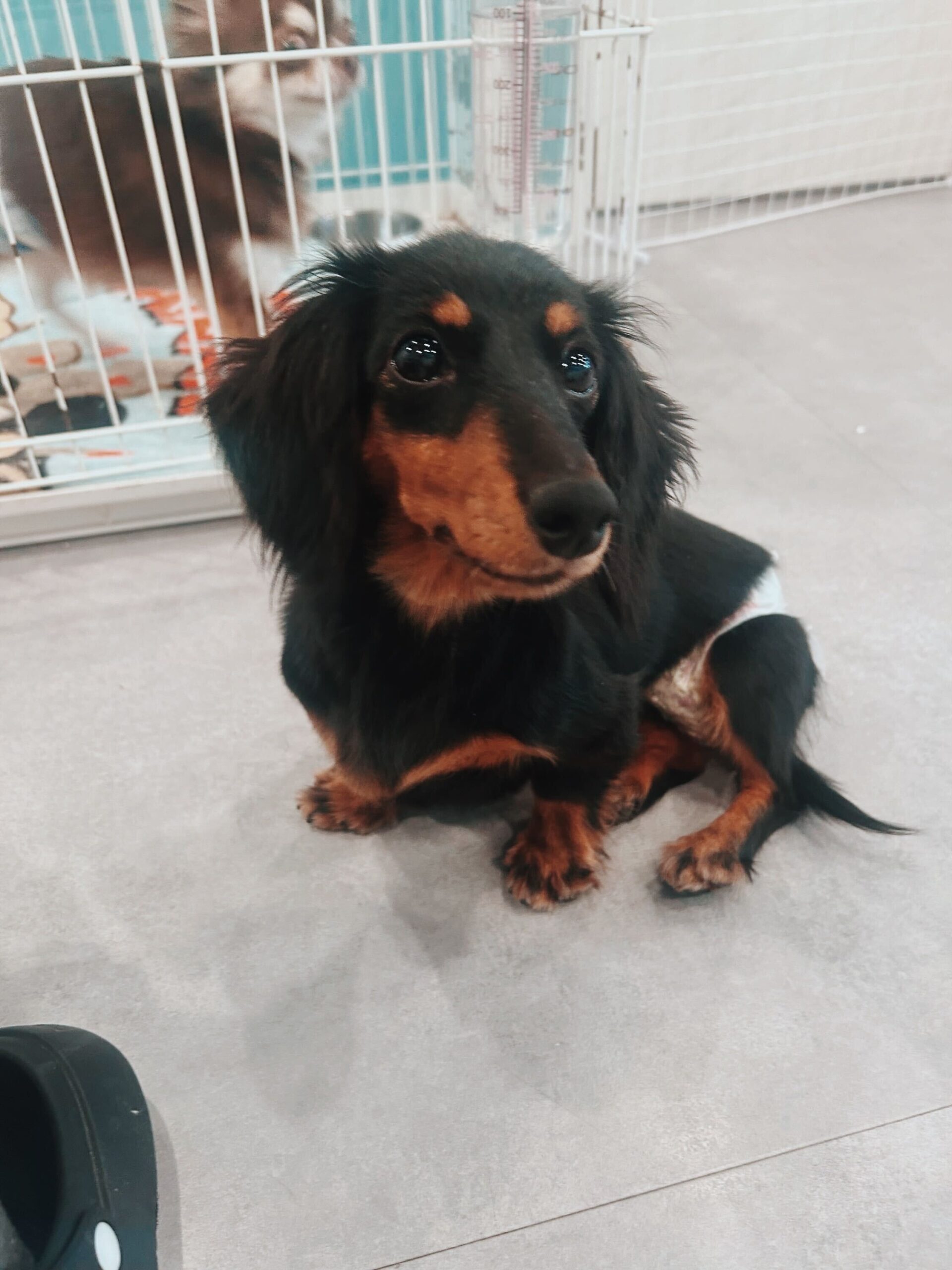 ハッピーターンの画像1