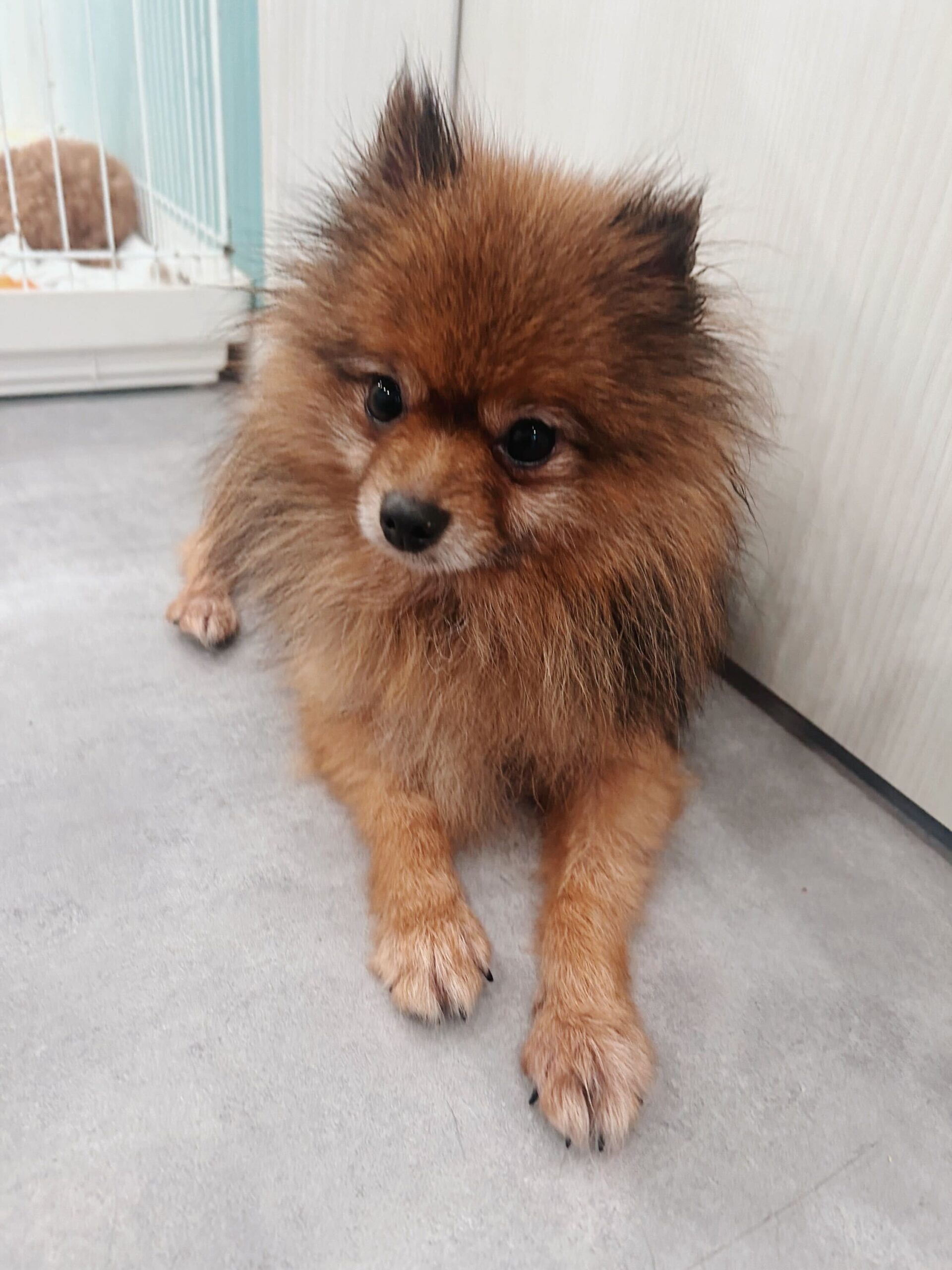 ヤマモトの画像3