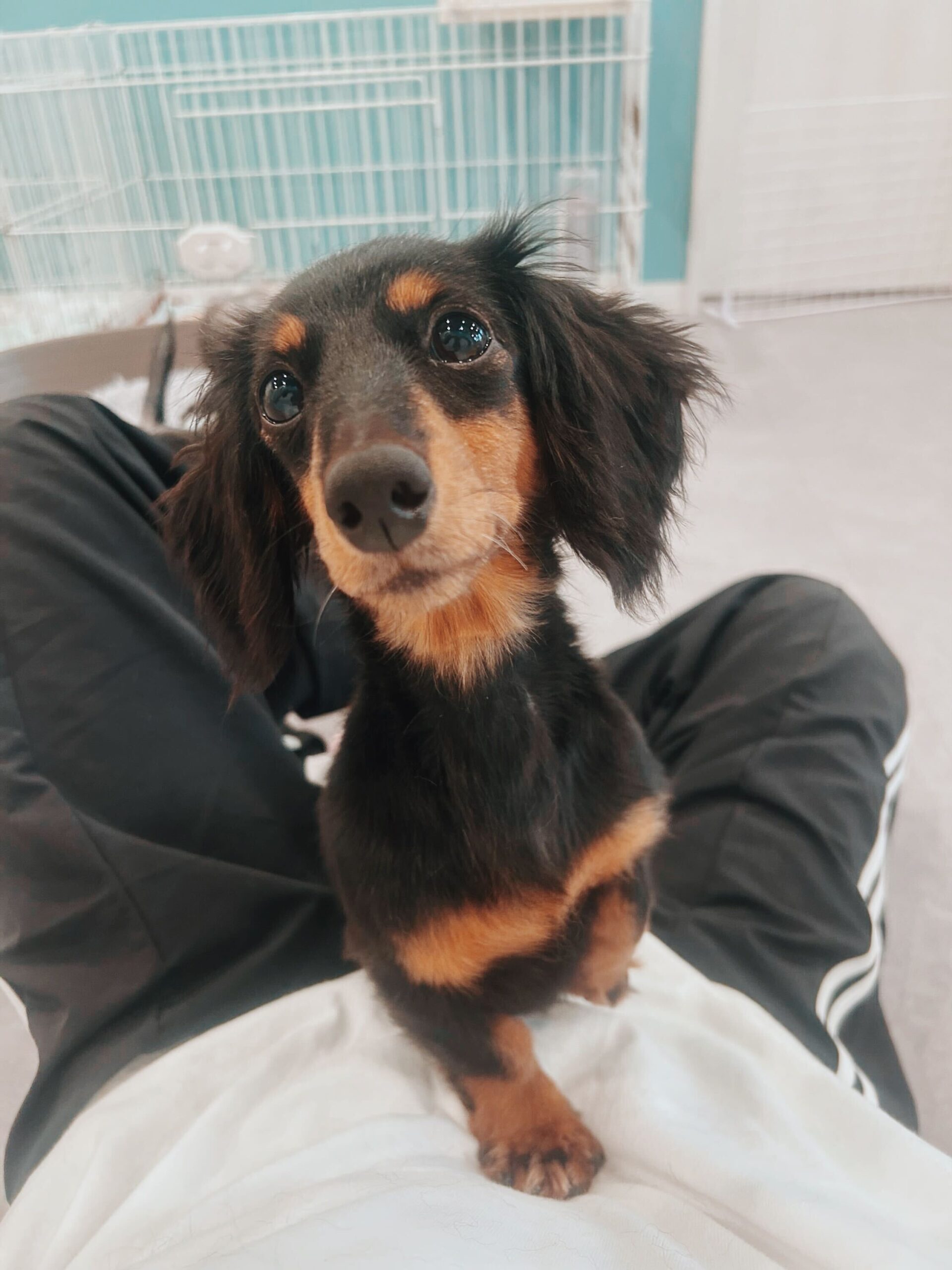 ハッピーターンの画像2