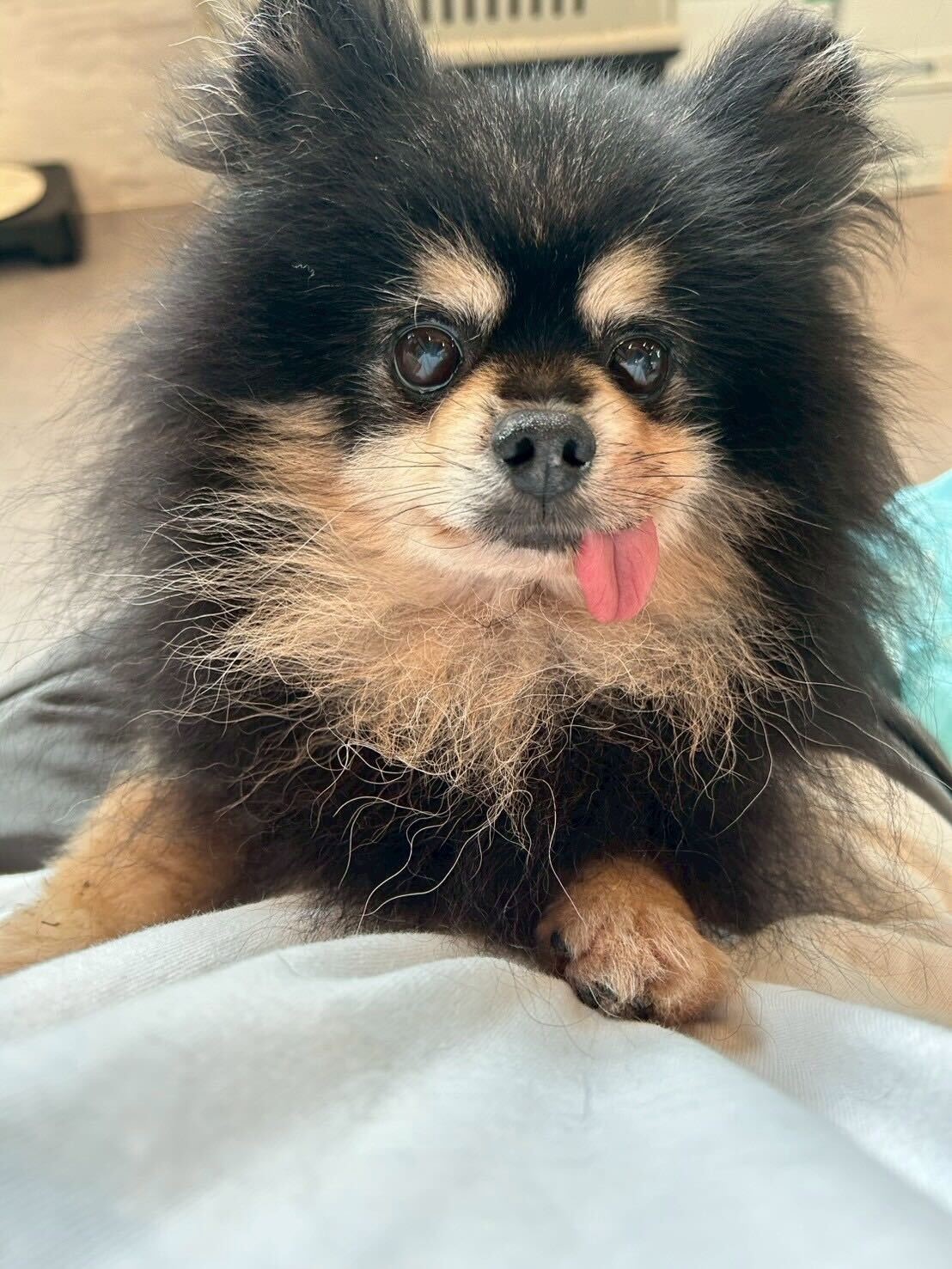 コンパスの画像1