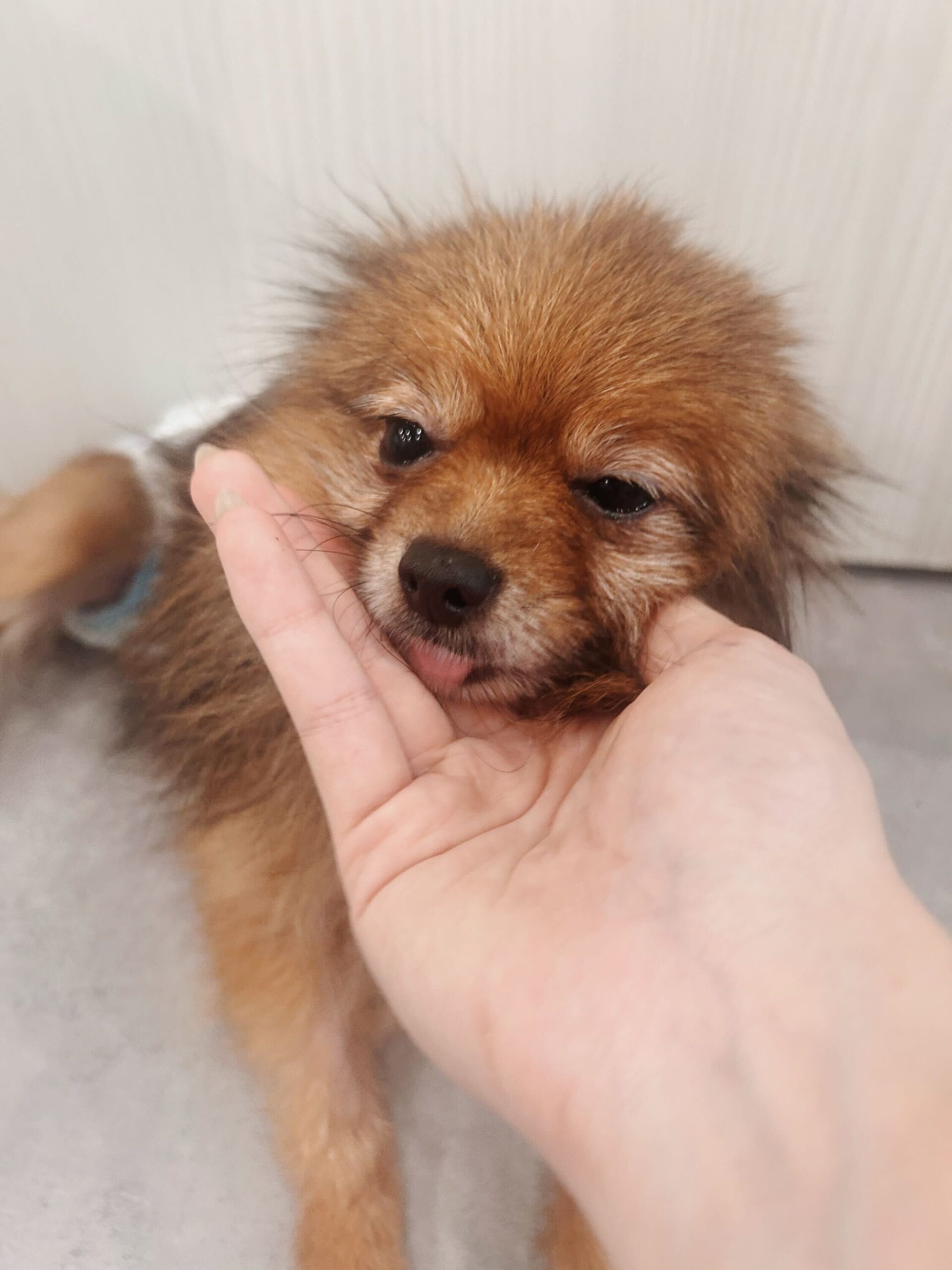 ヤマモトの画像2