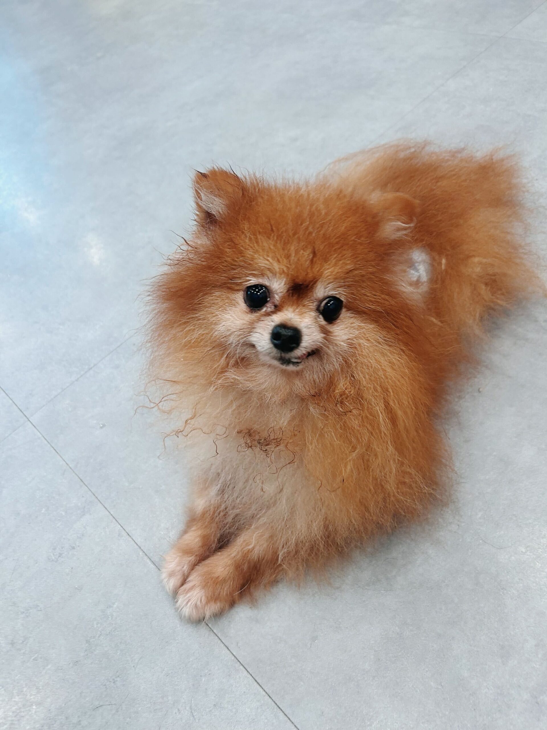 ギャビンの画像1