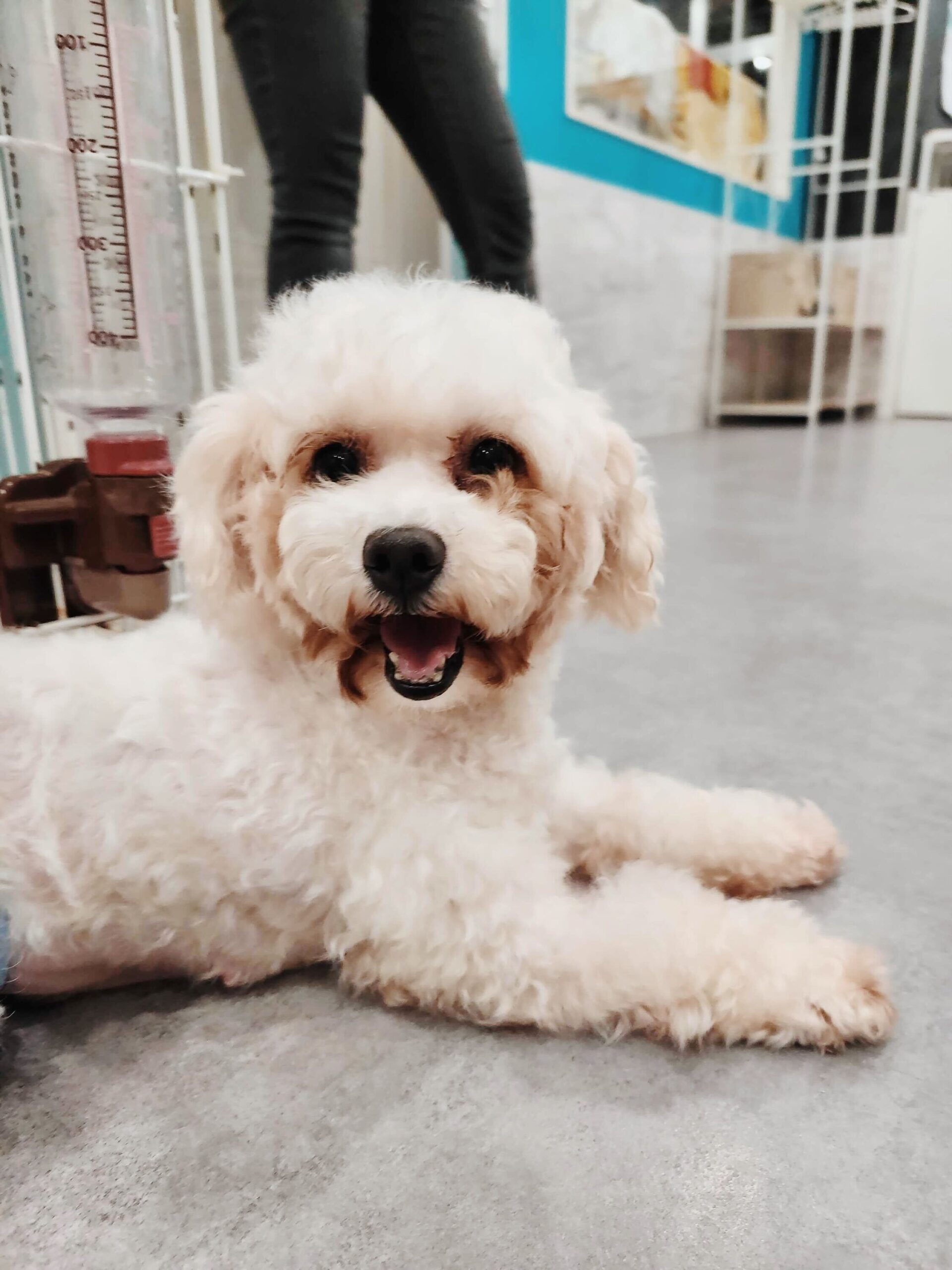 クレイトンの画像1