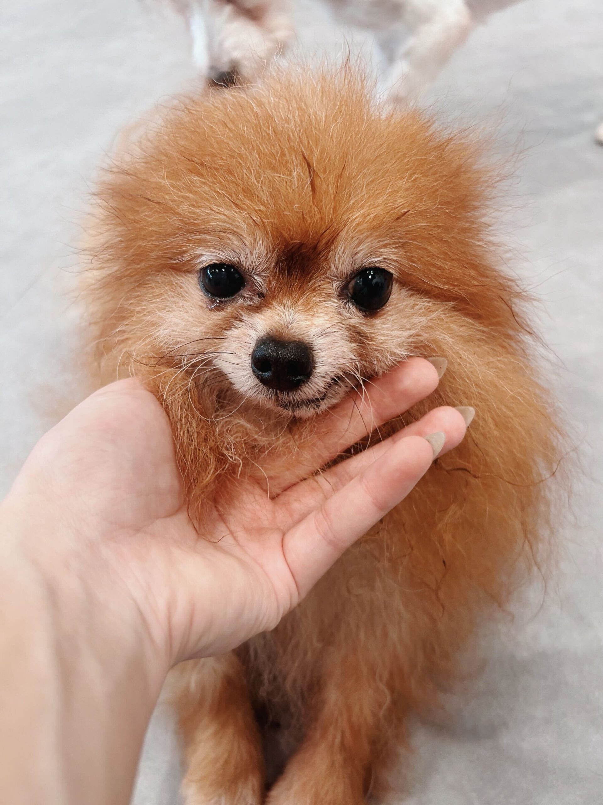 ギャビンの画像2