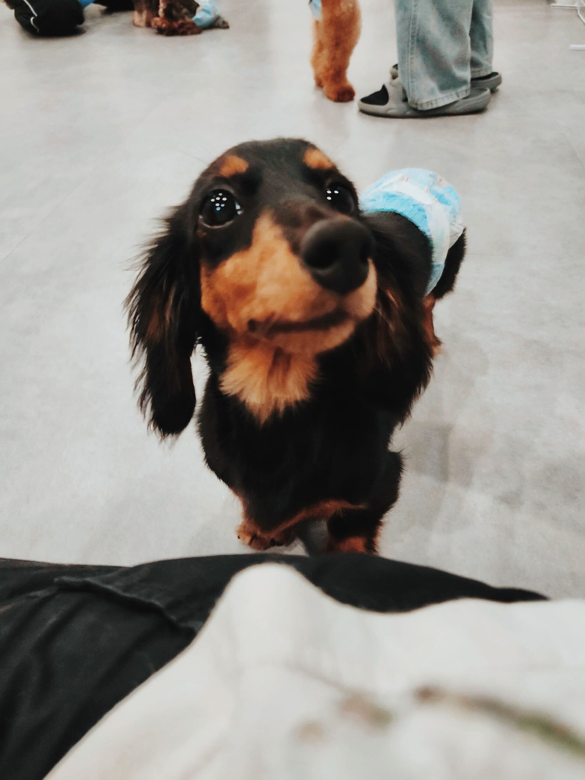 ハッピーターンの画像3