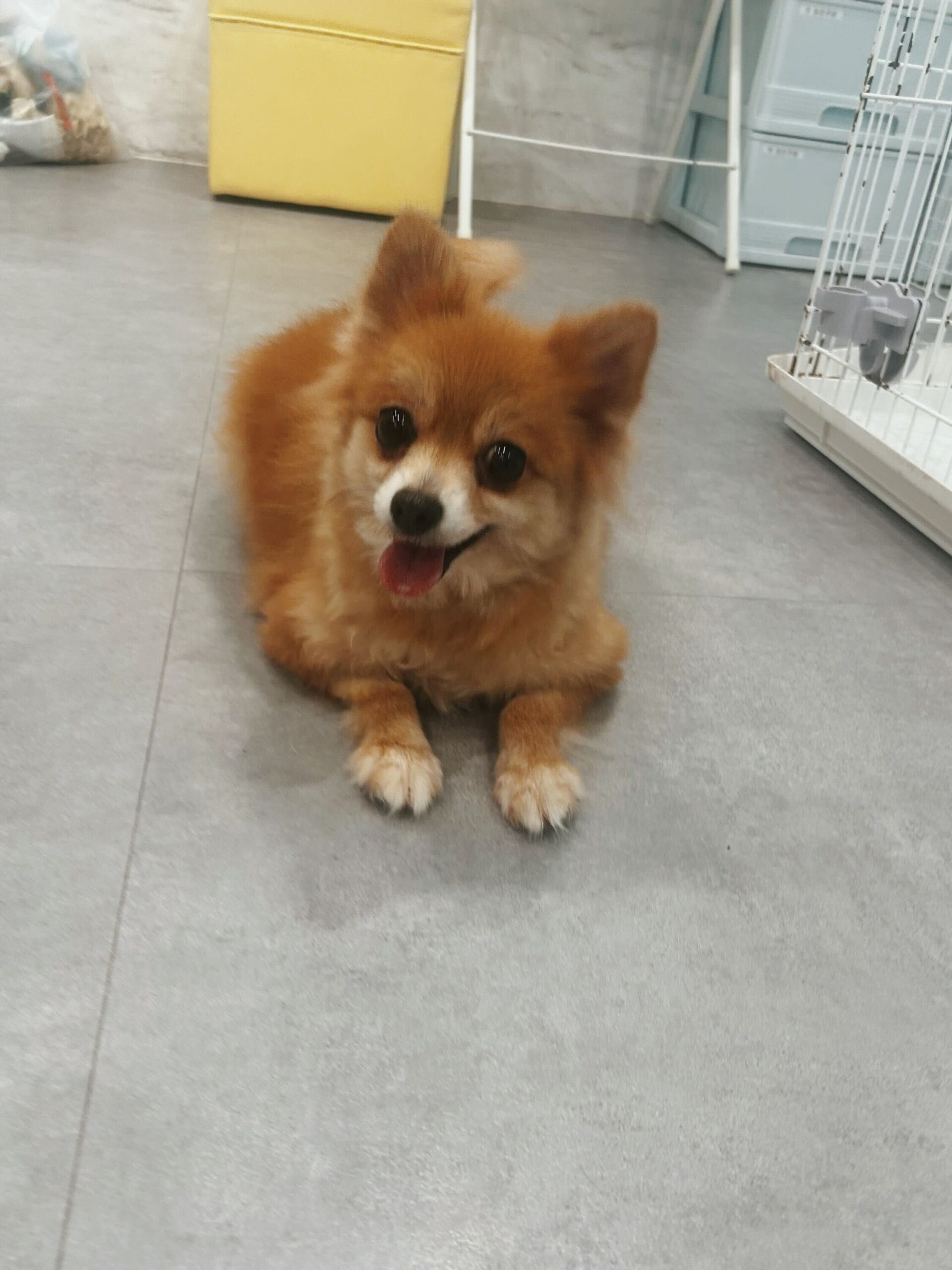 すっぱムーチョの画像3