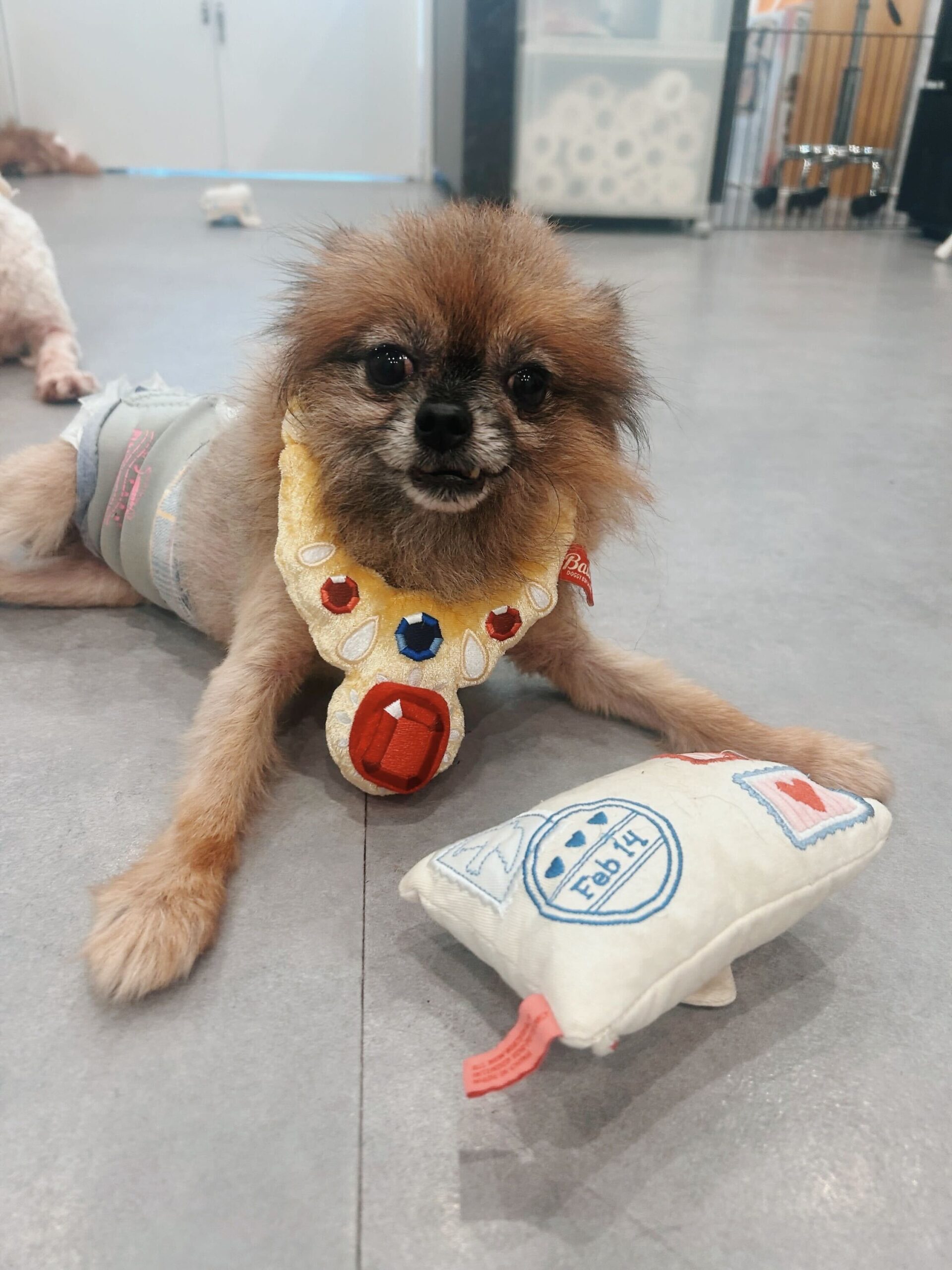 イェイツの画像2