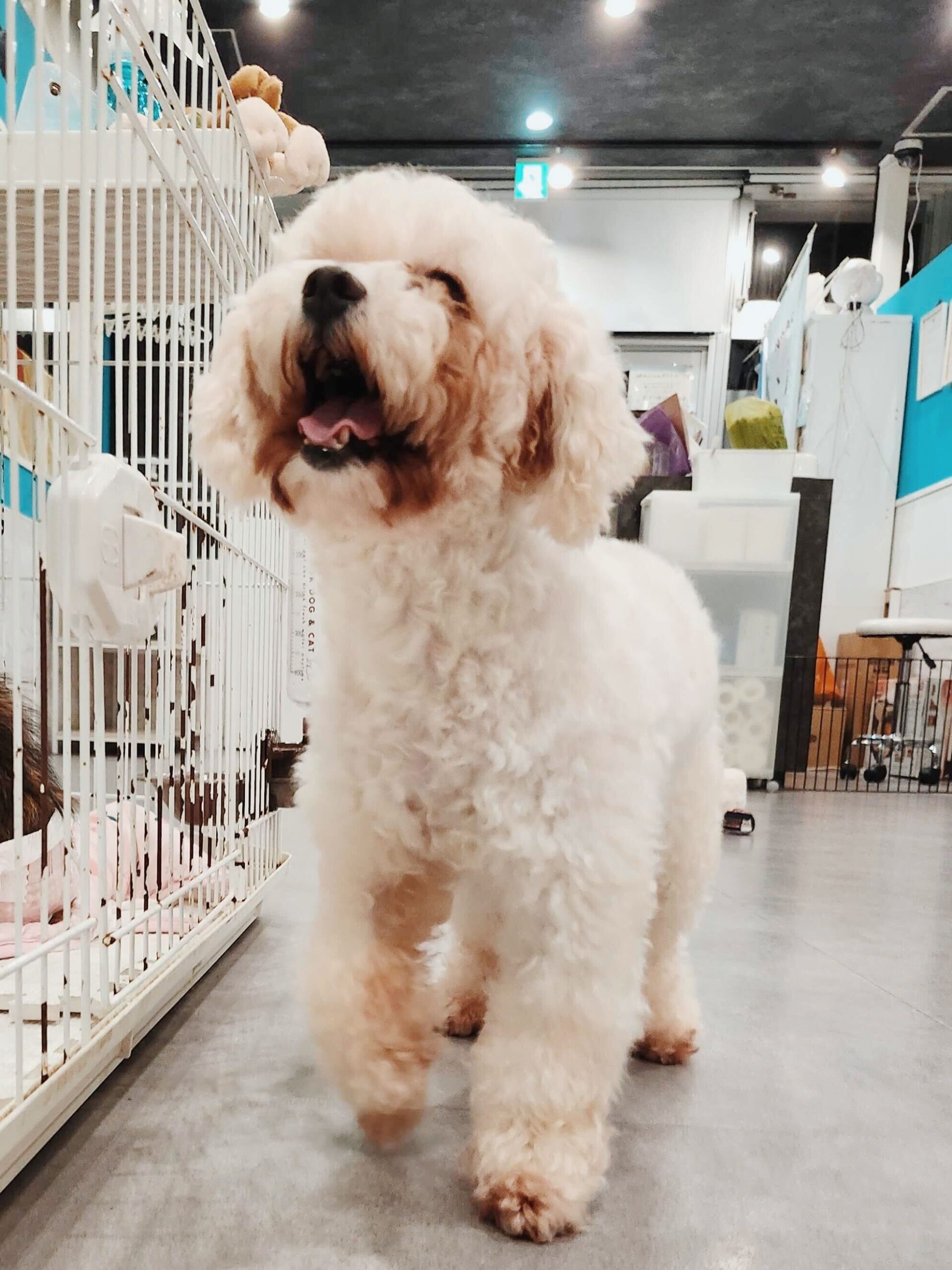 クレイトンの画像3