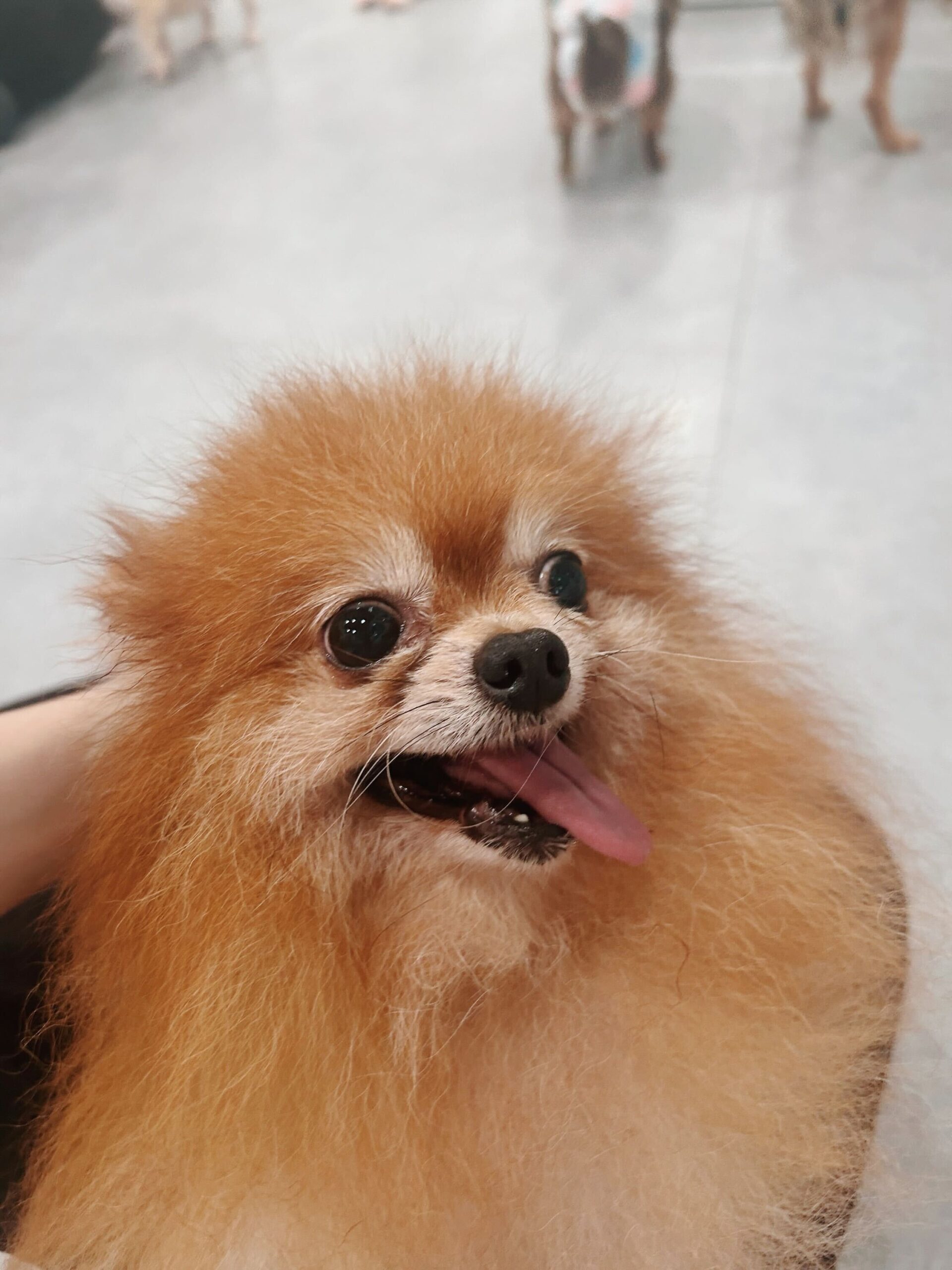 ギャビンの画像3