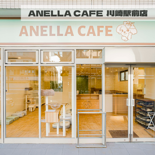 ANELLA CAFE  <p>川崎駅前店</p>