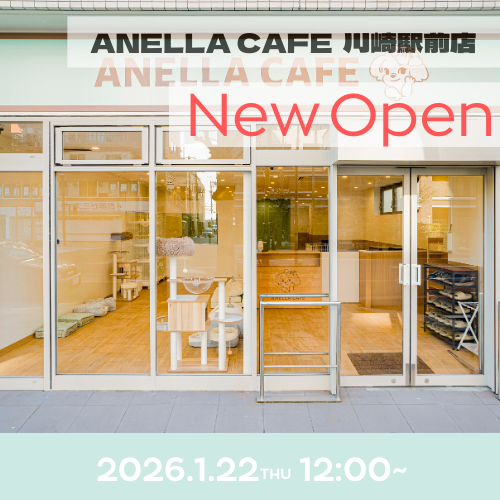 ANELLA CAFE  <p>川崎駅前店</p>