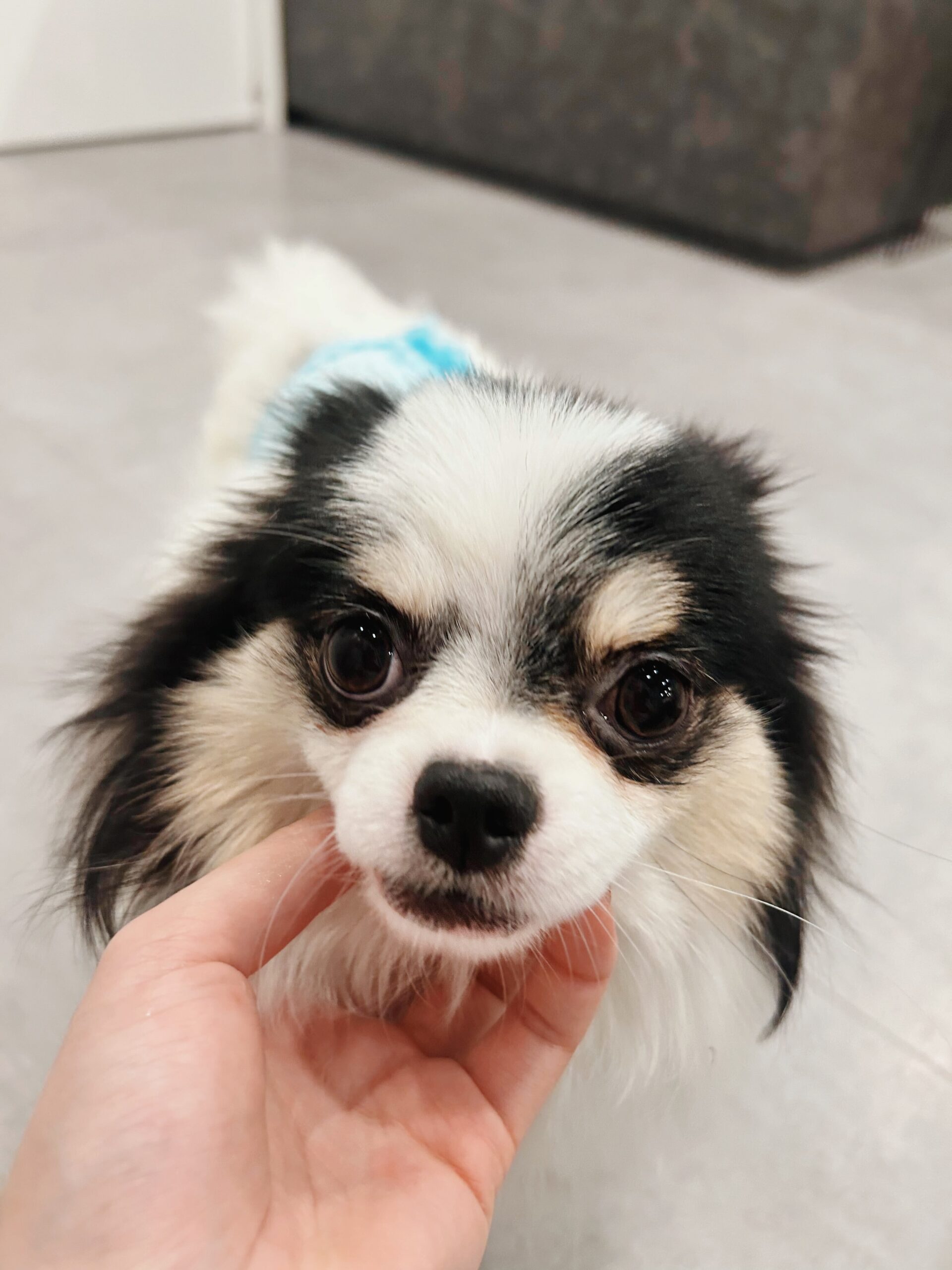 ミシガンの画像2