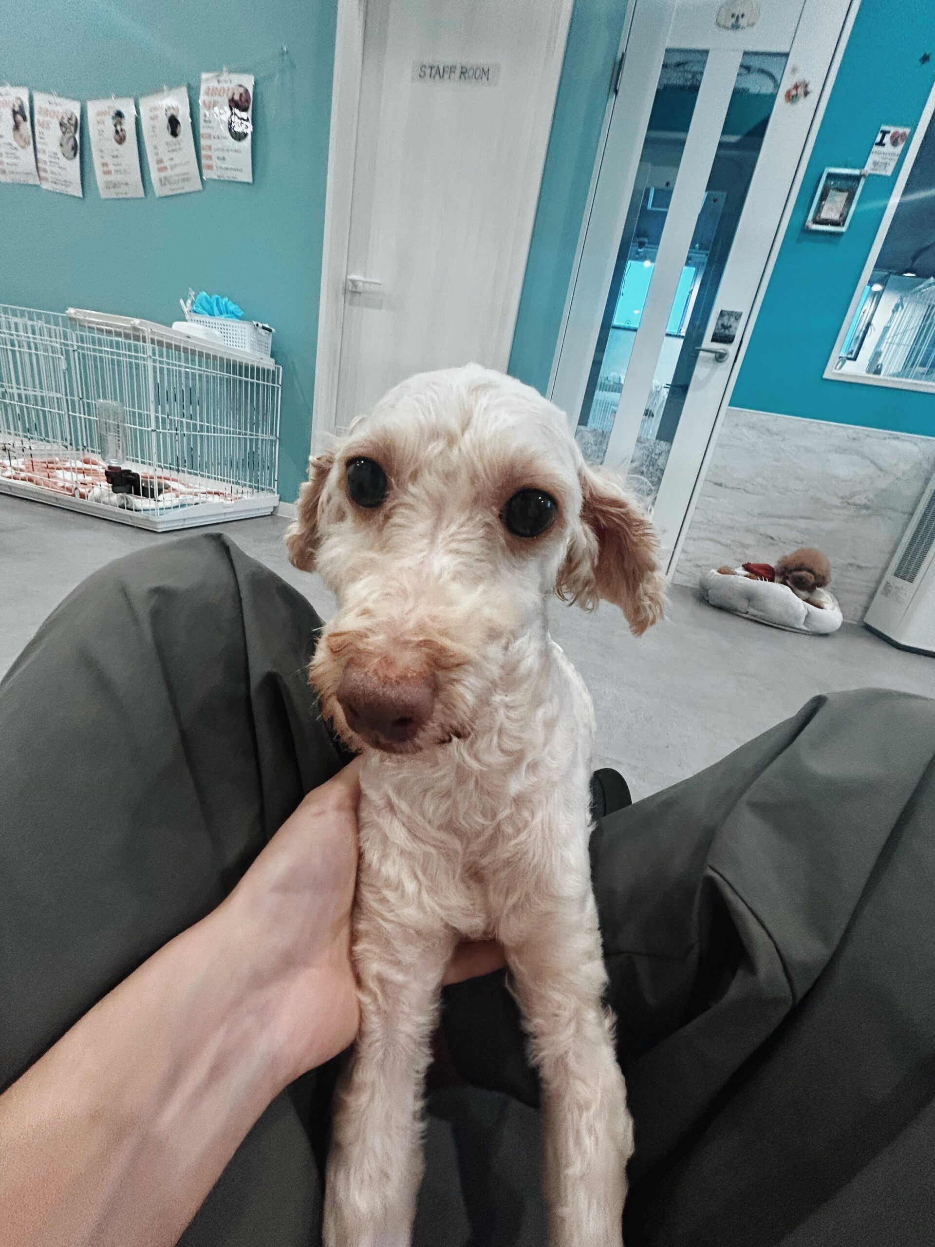 カラムーチョの画像2