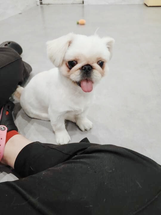 ジュディの画像3