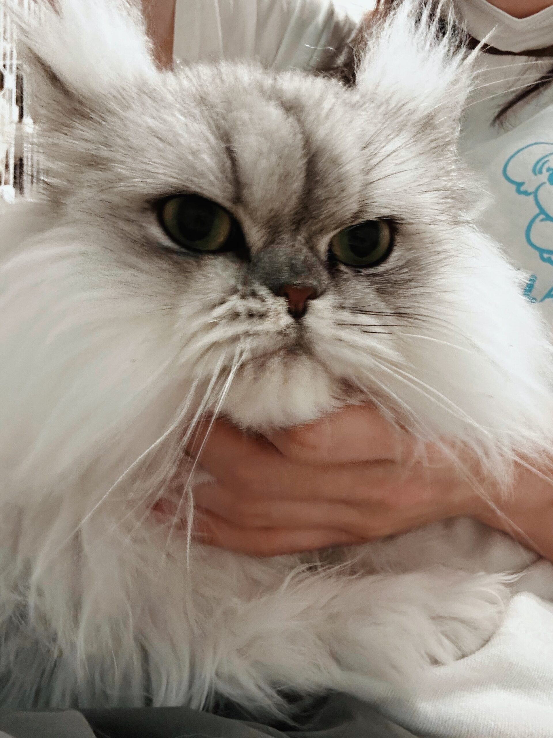 ゲイリーの画像1