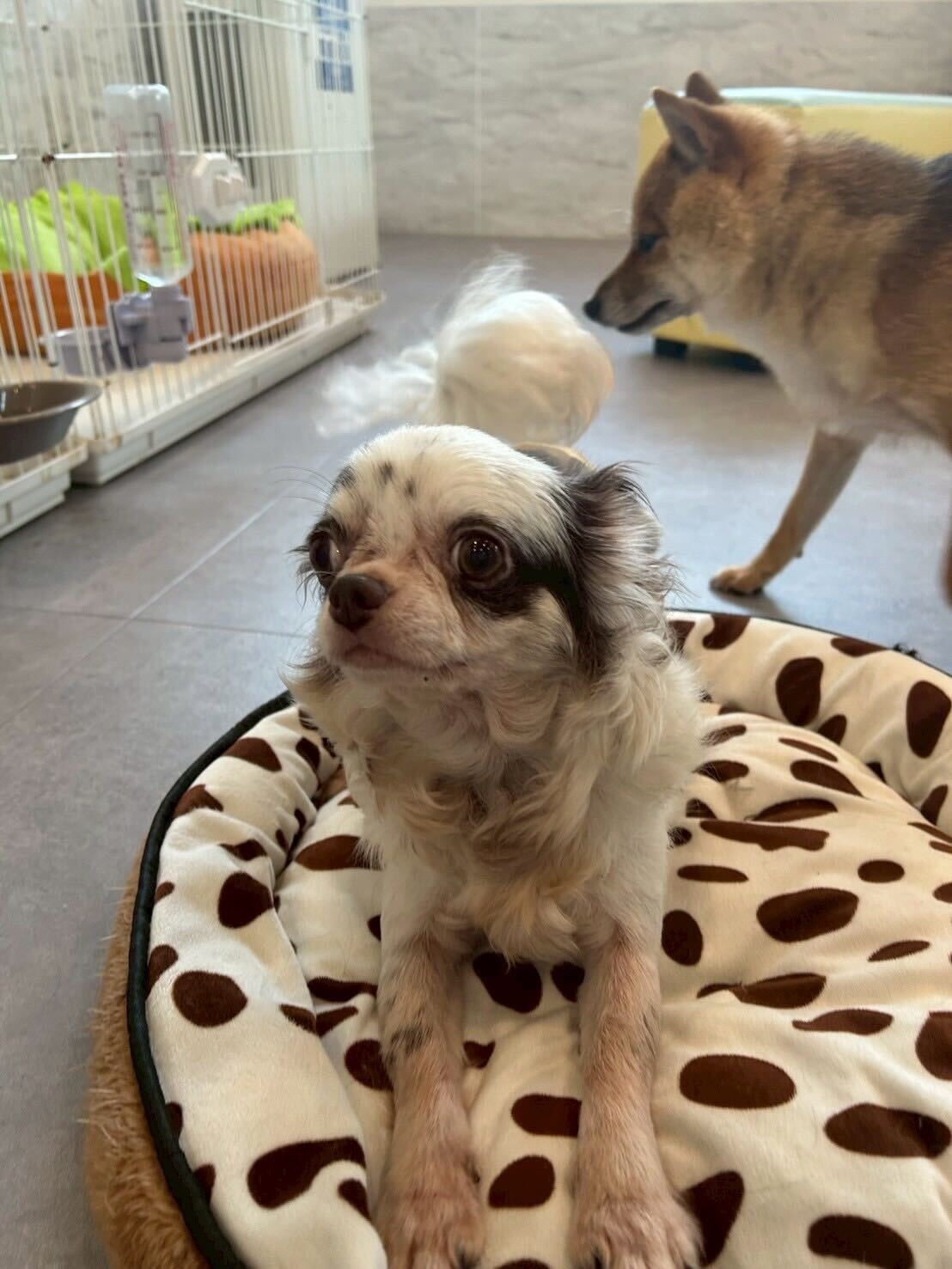 ホチキスの画像3