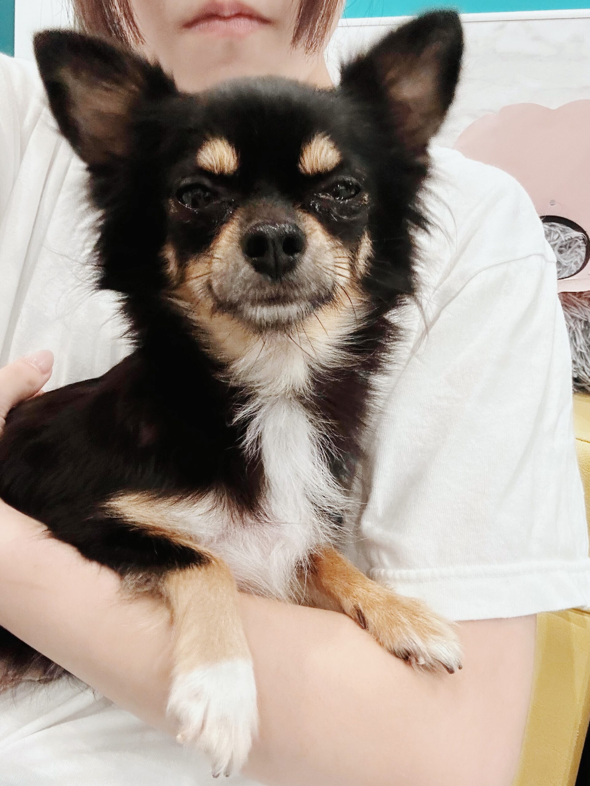 フォンテーヌの画像3