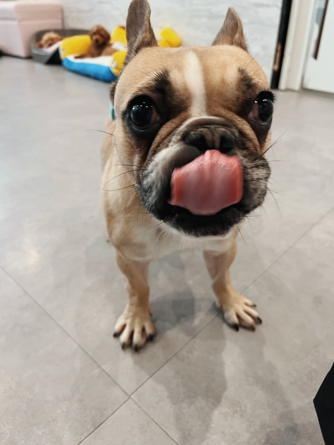 ダンスホールの画像2