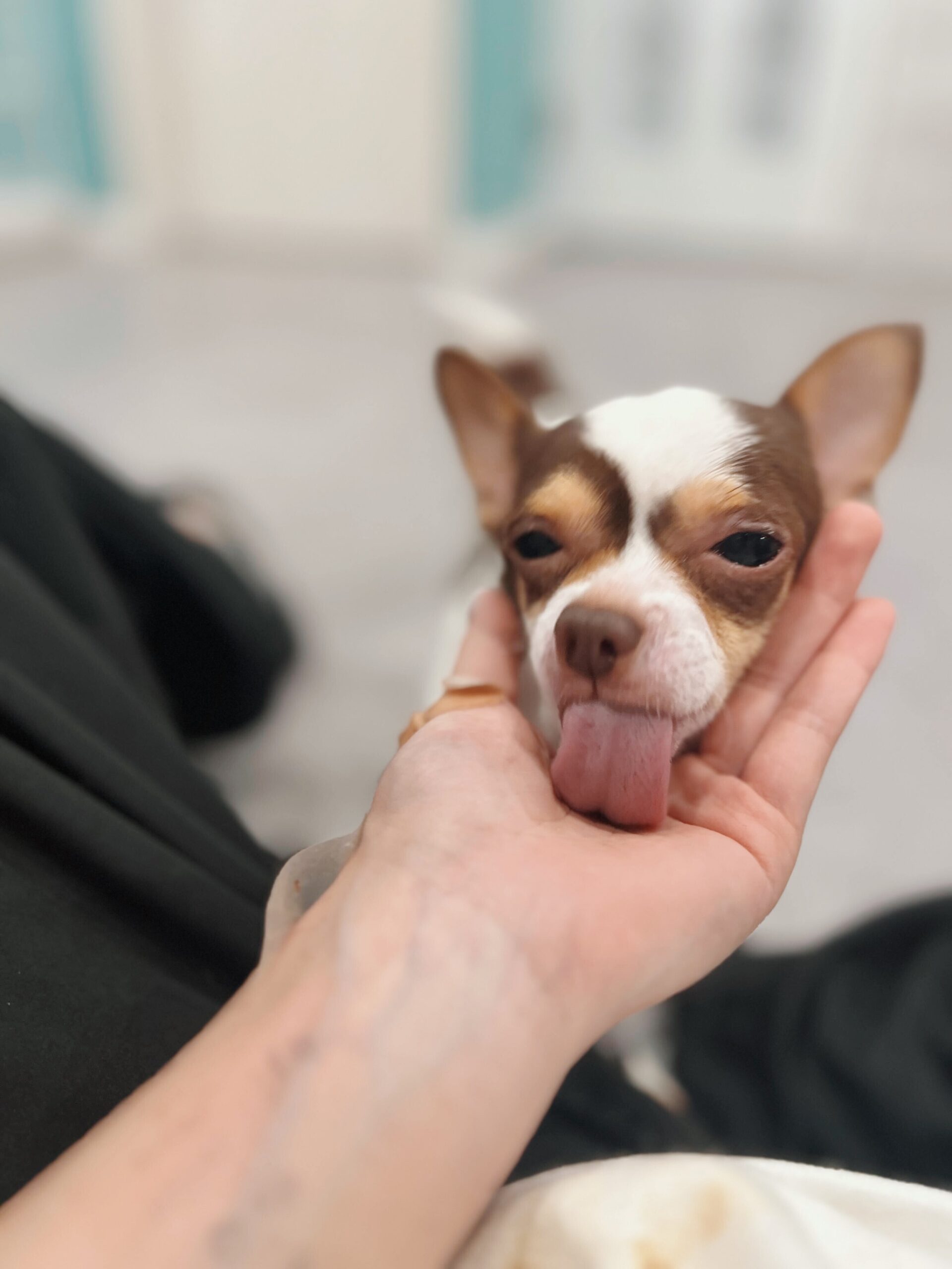 バルストロードの画像1