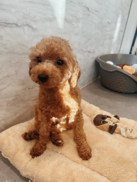 スパイクの画像1